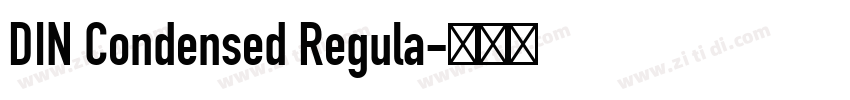 DIN Condensed Regula字体转换